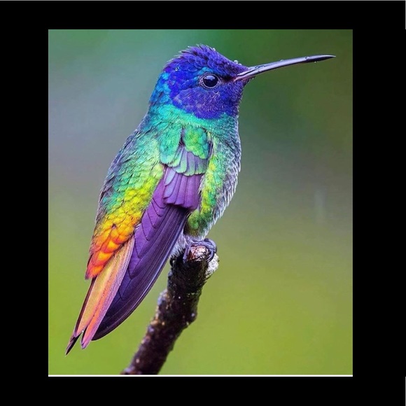 Meet your Posher, M - Picture 1 of 1